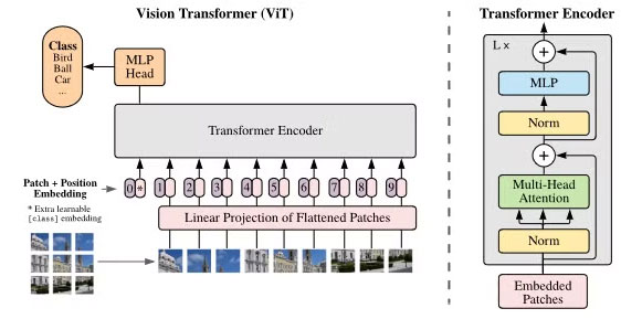 ViTのアーキテクチャー