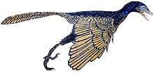 アーケオプテリクス（Archaeopteryx lithographica）イメージ画像